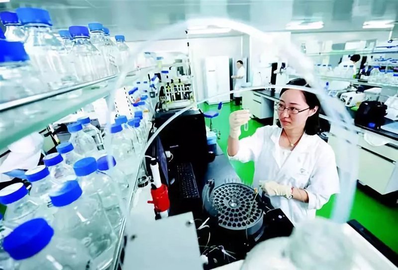 细胞培养：揭开生物技术的神秘面纱