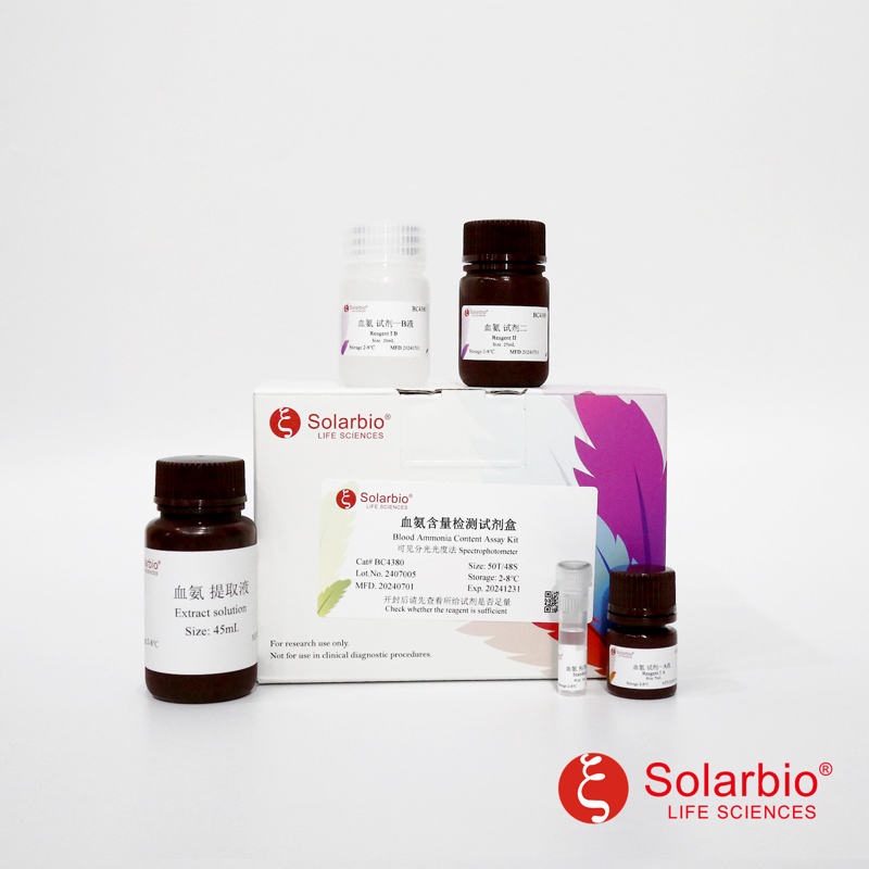 生物科技：传统与现代的融合