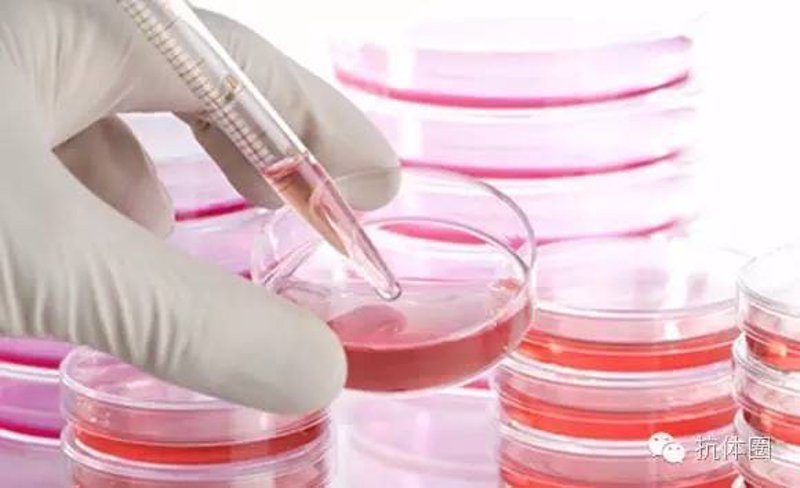 深入解析:生物制品行业的新兴趋势与机遇